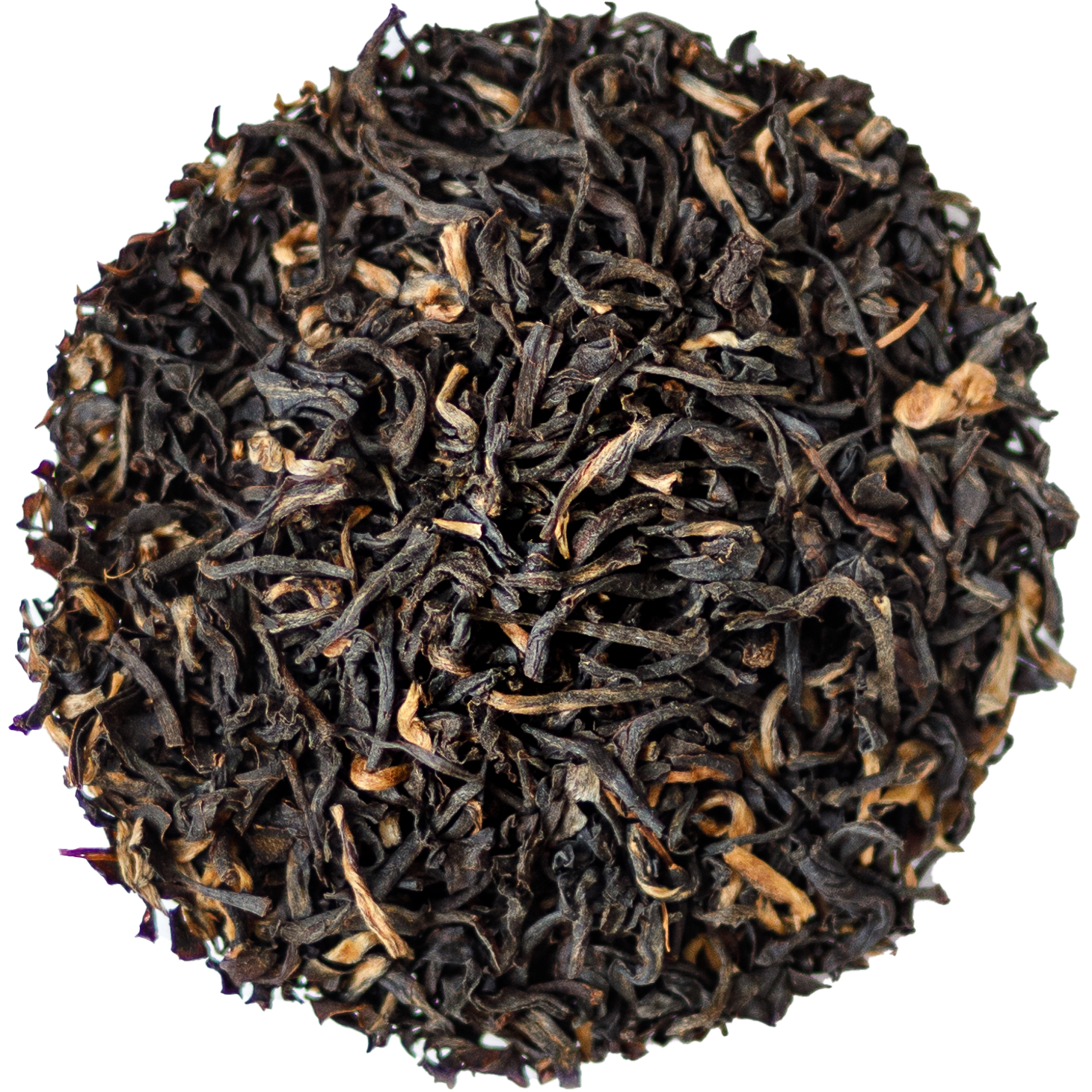 Assam BIO