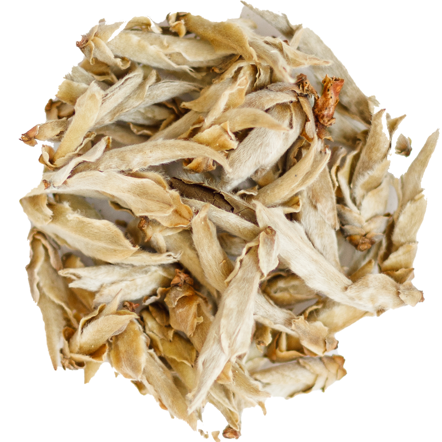 Ya Bao - Silver Bud