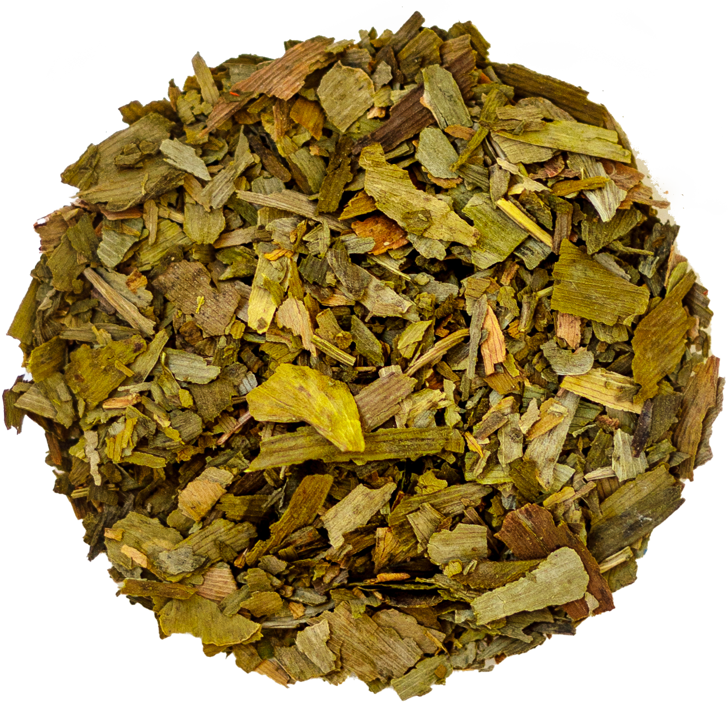 Ginkgo Biloba